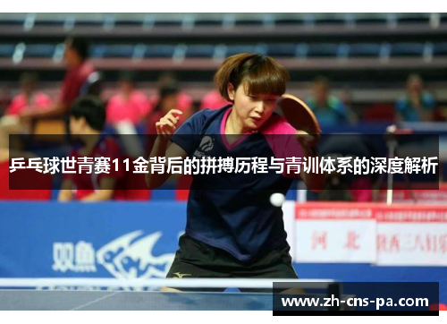 乒乓球世青赛11金背后的拼搏历程与青训体系的深度解析