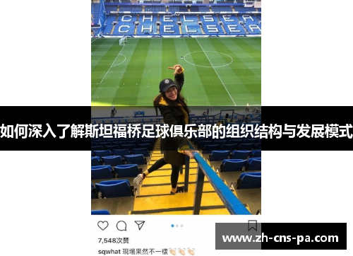 如何深入了解斯坦福桥足球俱乐部的组织结构与发展模式