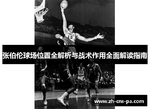 张伯伦球场位置全解析与战术作用全面解读指南