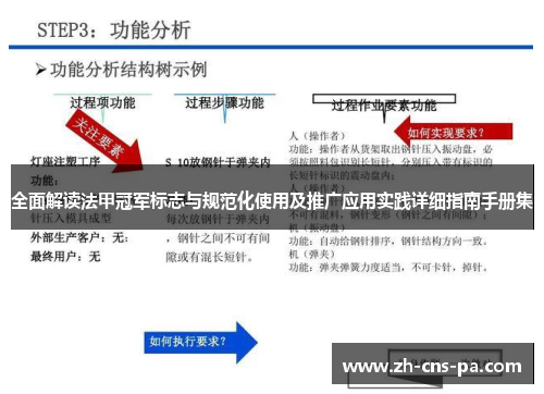 全面解读法甲冠军标志与规范化使用及推广应用实践详细指南手册集