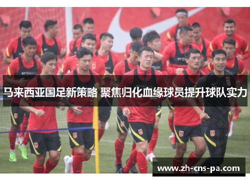 马来西亚国足新策略 聚焦归化血缘球员提升球队实力
