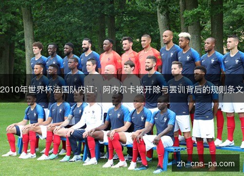 2010年世界杯法国队内讧:阿内尔卡被开除与罢训背后的规则条文 2010年世界杯法国队内讧:阿内尔卡被开除与罢训背后的规则条文